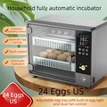 24 Eggs US