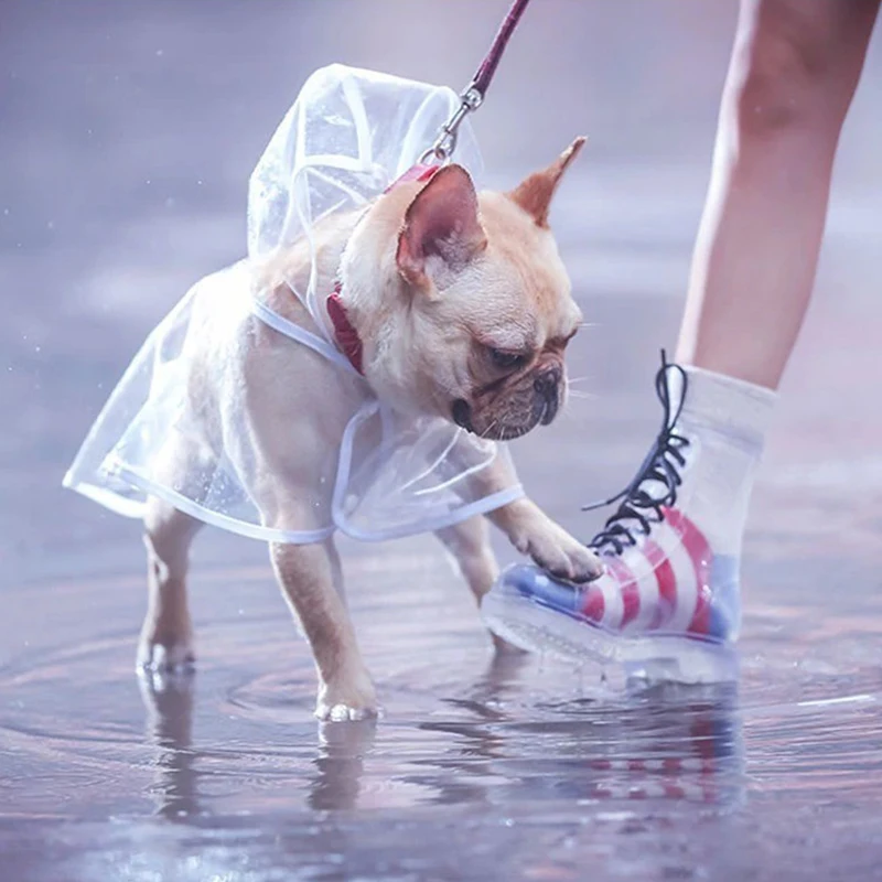 Chubasquero para perros, impermeable, transparente, ropa de exterior para mascotas, para perros pequeños y medianos, Bulldog Francés, cachorro, gato, macotas - imagen 4