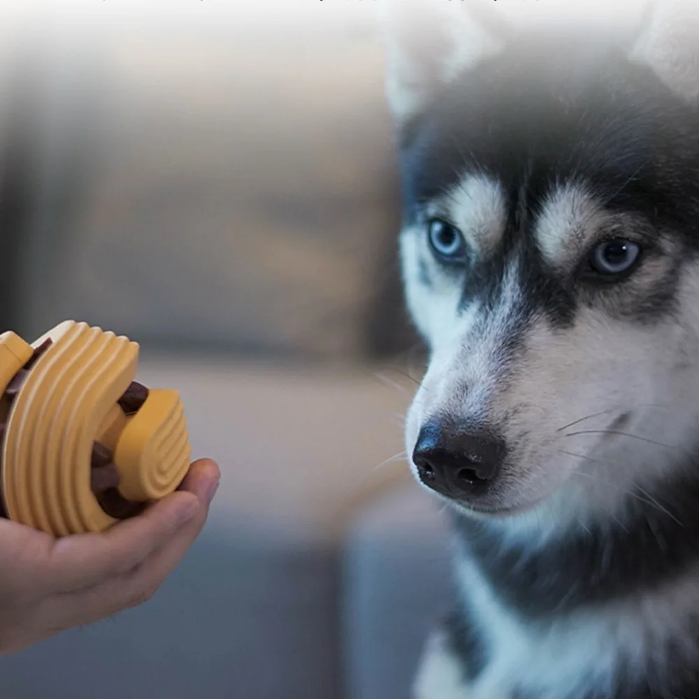 Bola dispensadora de golosinas para adiestramiento al aire libre para perros, juguete masticable duradero para limpieza de dientes, juguete molar interactivo para cachorros - imagen 5
