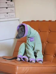 Mono de lana para galgo italiano y whippet con cuello alto
