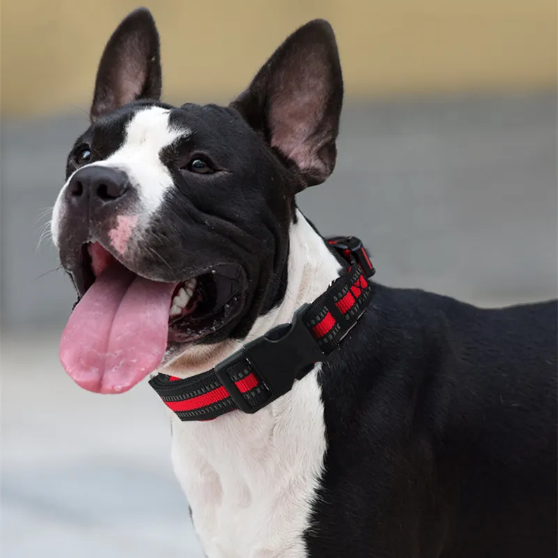 Collar reflectante nailon para perros - vista completa