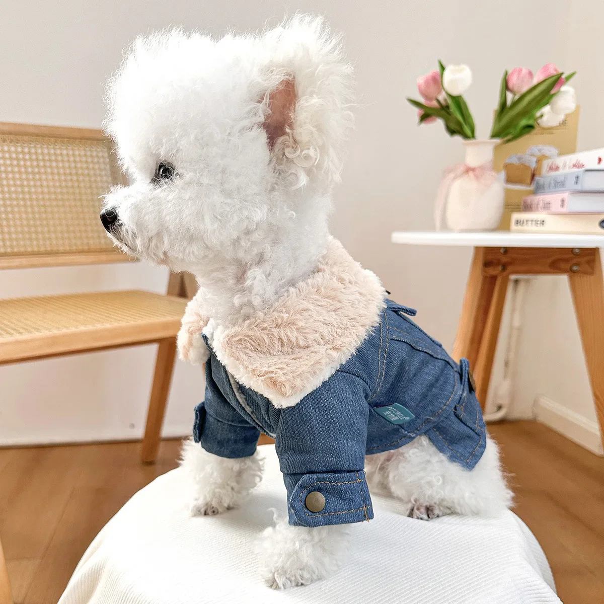Abrigo vaquero de lana de cordero para mascotas, Parkas para perros, ropa para gatos, nueva colección de otoño e invierno, abrigo vaquero grueso con terciopelo - imagen 4