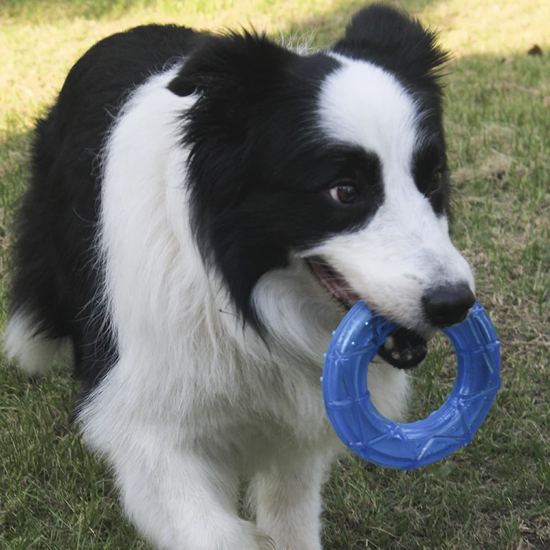 Juguete de verano para perros, resistente a mordeduras, juguete para masticar refrescante para mascotas, cepillo de dientes para cachorros, juguete de limpieza de dientes, juguete Molar congelado para perros - imagen 5