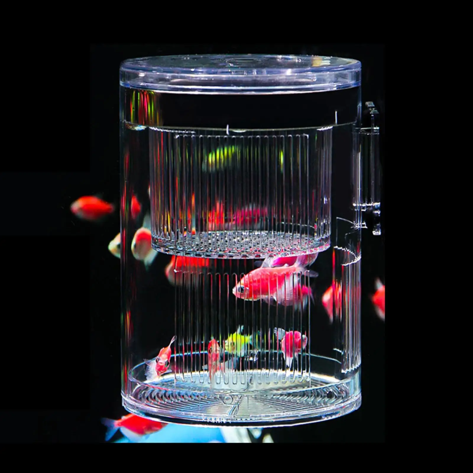 Hatchery Incubator Tank Sturdy Clear Fish Isolation Box for Baby Fishes