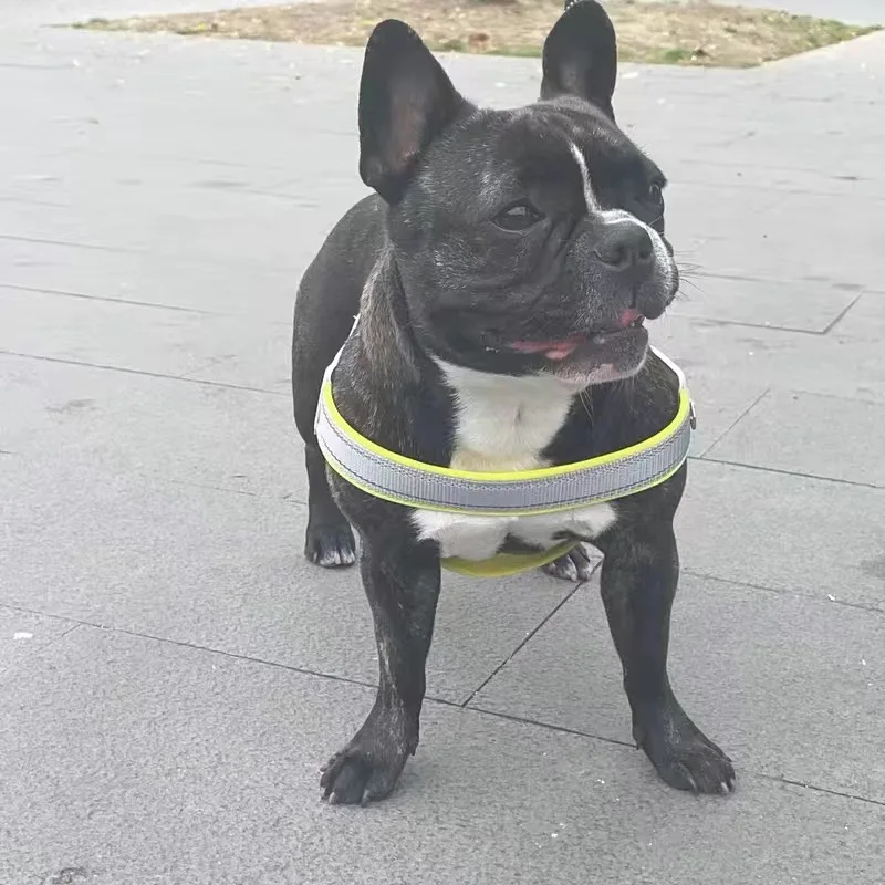 Arnés resistente y duradero para Bulldog Francés, suministros reflectantes para caminar, perros pequeños y medianos, Corgi, Shiba, Inu - imagen 4