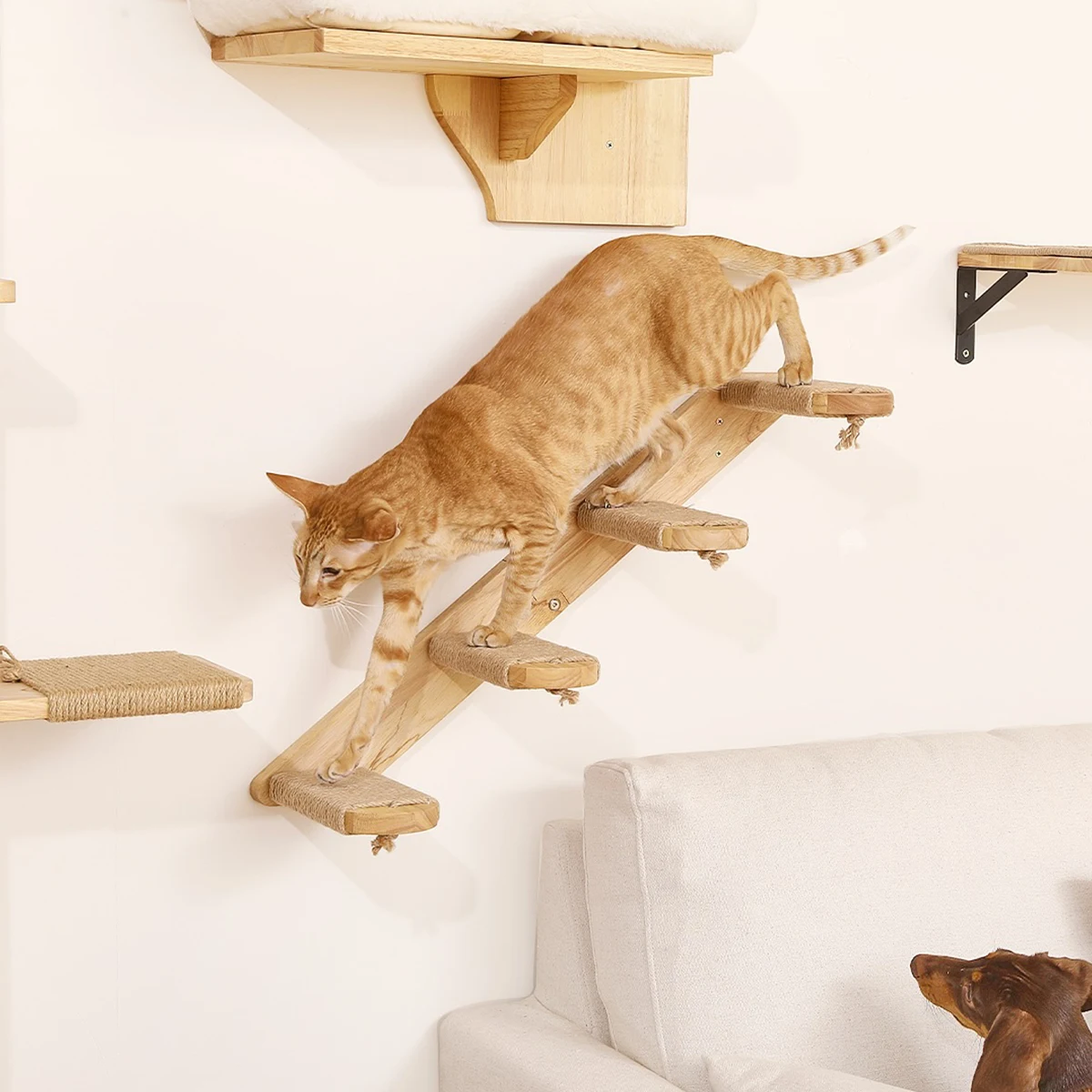Hamaca de pared para gatos – descanso cómodo en altura - imagen 5