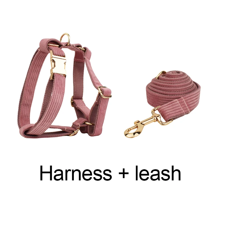 Harness  leash