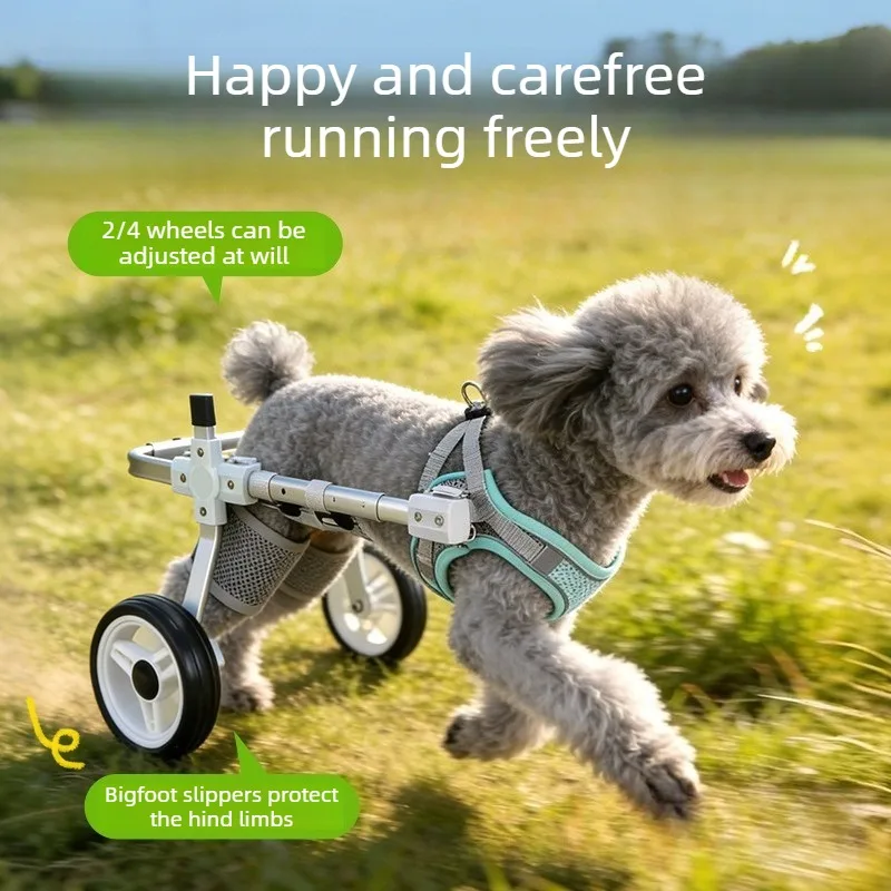 Silla de ruedas para perros con parálisis en patas traseras - imagen 4