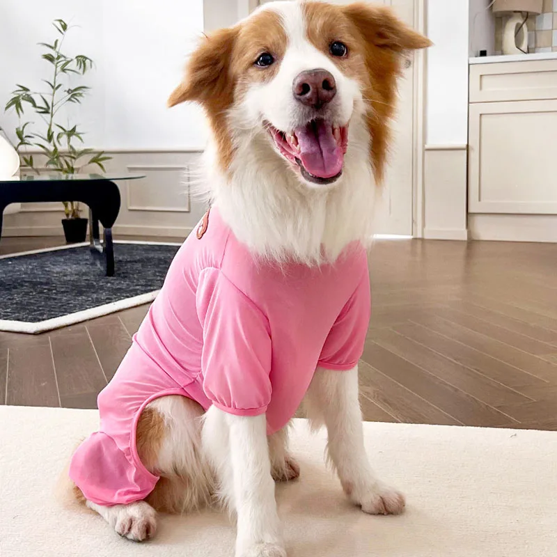 Pijama de oso para perros pequeños y grandes, mono de malla para mascotas, color rosa, azul, morado y amarillo, ropa de verano para Labrador XS-4XL - imagen 5