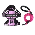 Pink Harness Set