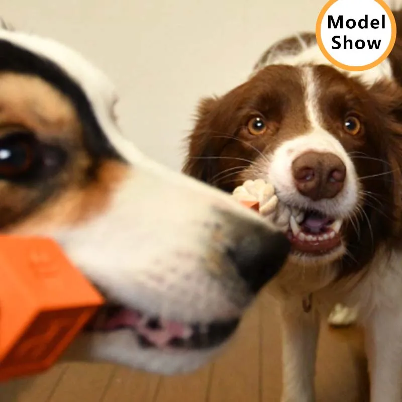 Juguete interactivo para masticar perros medianos y grandes, cuerda de algodón, juguete Molar para mascotas, entrenamiento para actividades al aire libre - imagen 3