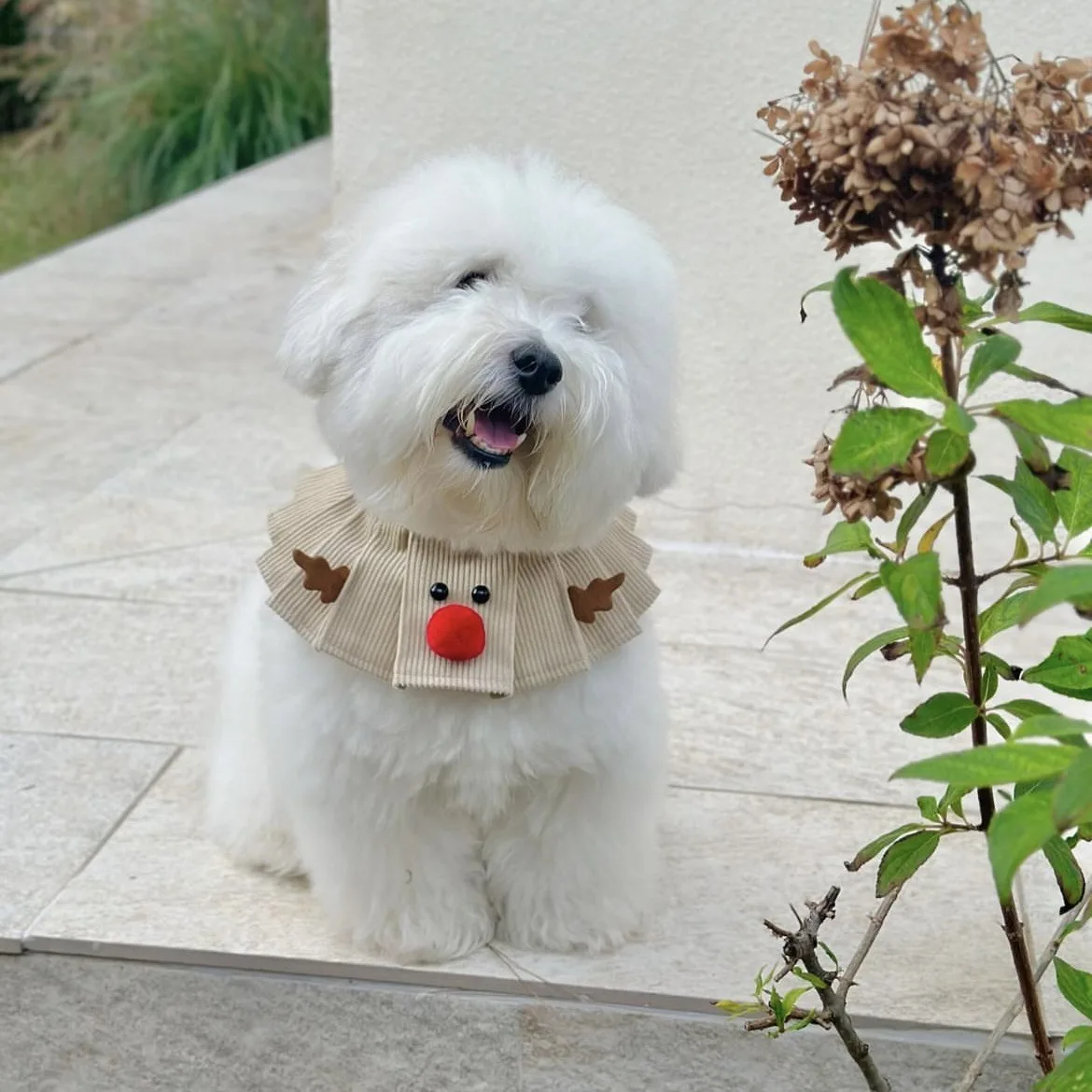 Collar plisado Ins, capa de alce con expresión bonita, bufanda para mascota, gato, perro, toalla de baba, decoración navideña, accesorios para cachorros - imagen 3