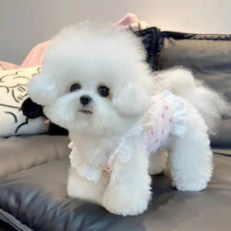 Floral Pet Clothes Summer Puppy Vest Camisole Vest Lace Cat Camisole Short Princess Dress Teddy YorkshireSmall Dogs Skirt - imagen 5