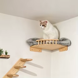 Muebles de pared para gatos – Rascador, hamaca y estantes de escalada