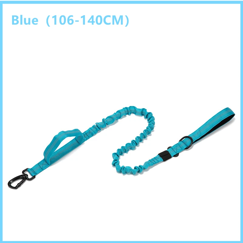 Blue Leash