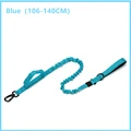 Blue Leash