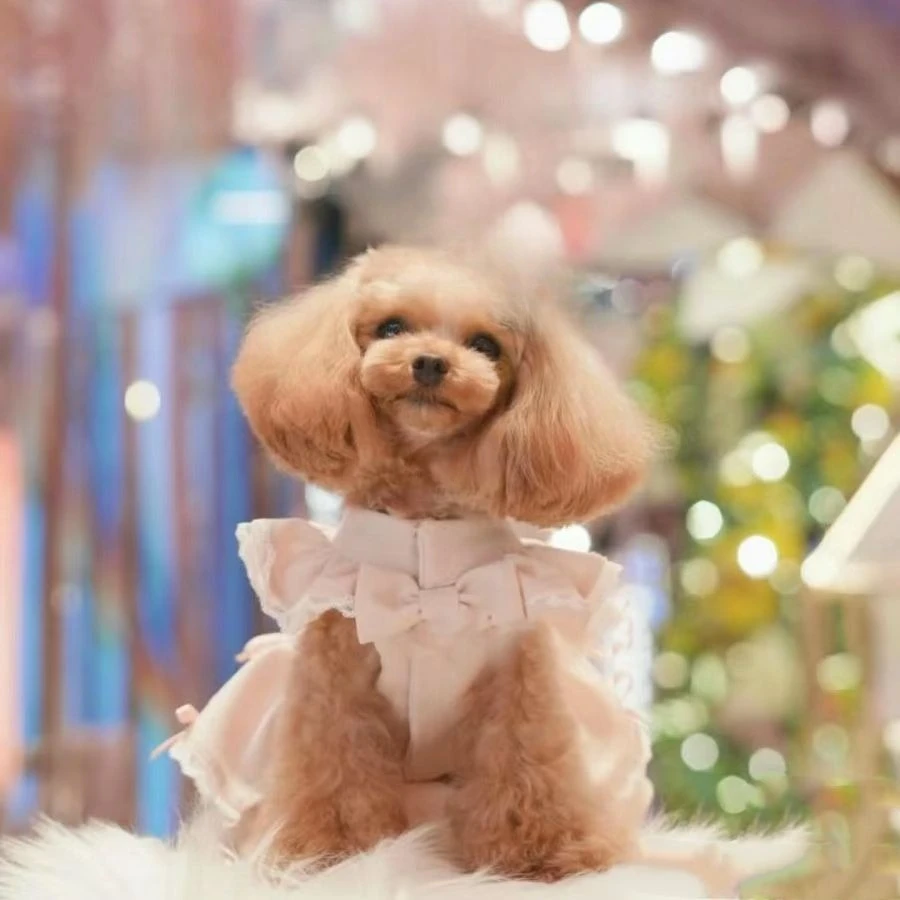 Vestido de manga voladora para mascotas, vestido de princesa con lazo, camiseta sin mangas cómoda para perros pequeños, ropa para cachorros, primavera y otoño - imagen 4