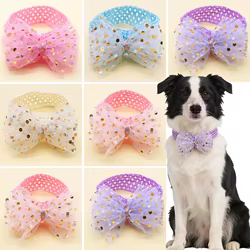 Lazos de encaje para perros – Accesorios elásticos de peluquería