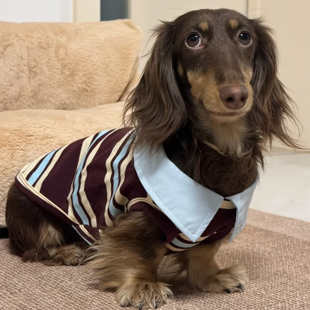 Camiseta de cuello alto a rayas para perros pequeños y medianos - imagen 5