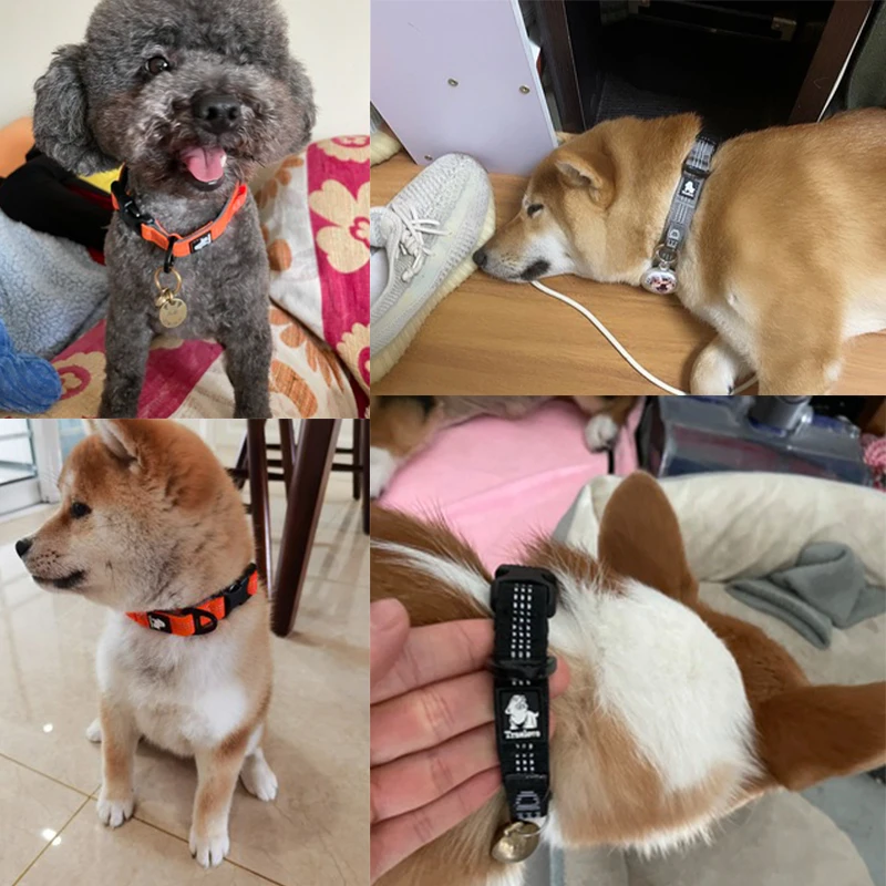 Winhyepet Collar para Perros Comodidad para Viajar Acolchado con Hebilla con Ranura LED Collar de Alta Calidad para Perros Pequeños, Medios y Grandes Pitbull - imagen 5