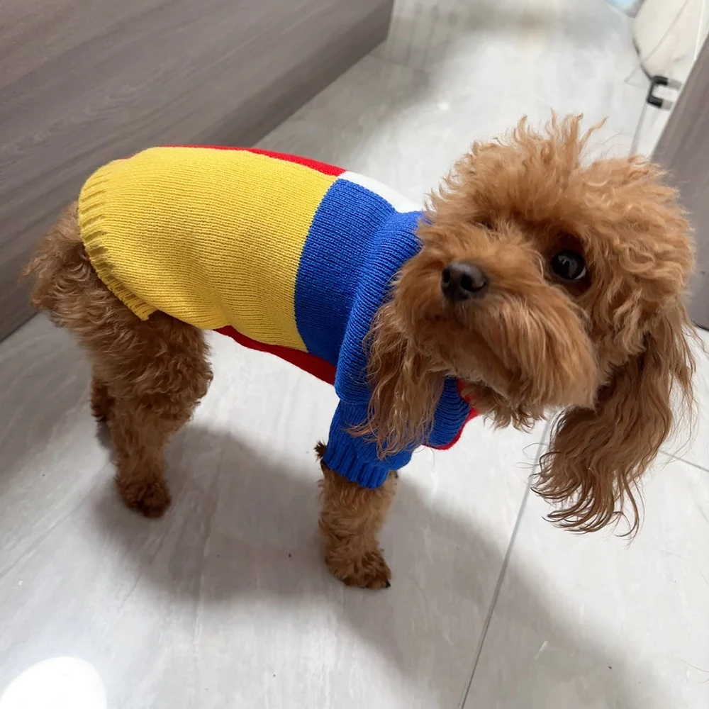 Hermosos colores, suéter para cachorros, ropa cálida de invierno para mascotas, jerseys de Pomerania para perros pequeños, trajes de ropa para mascotas - imagen 4