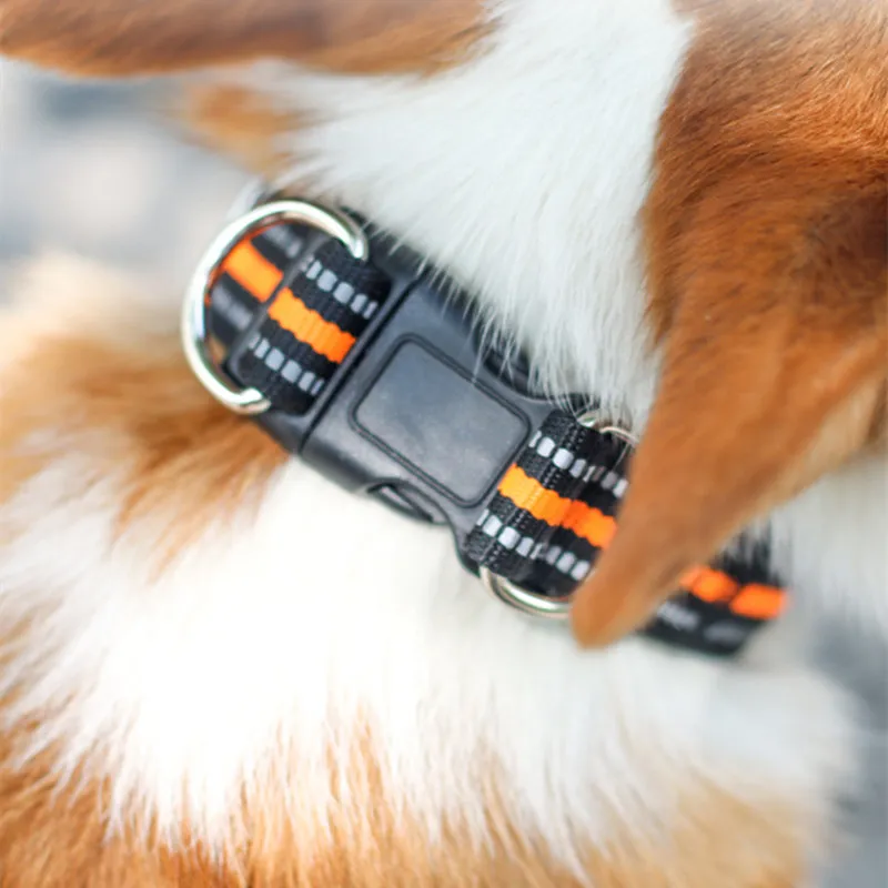 Collar reflectante de nailon para perros y mascotas, cadena ajustable, resistente al agua, producto para mascotas - imagen 2