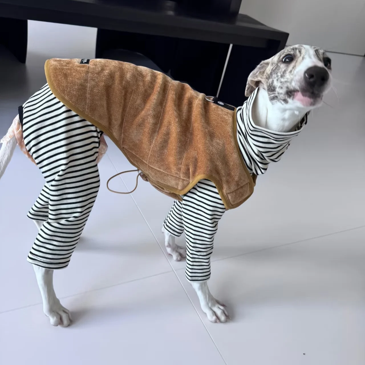 Chaleco vaquero azul grueso para perros de compañía en invierno, chaqueta amarilla ajustable con velcro de algodón cálido de estilo japonés para Whippet Bedlington - imagen 5