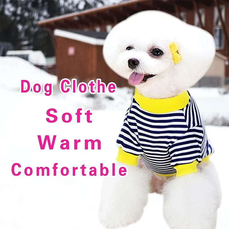 Varios suéteres de invierno para perros pequeños doblados en diferentes colores