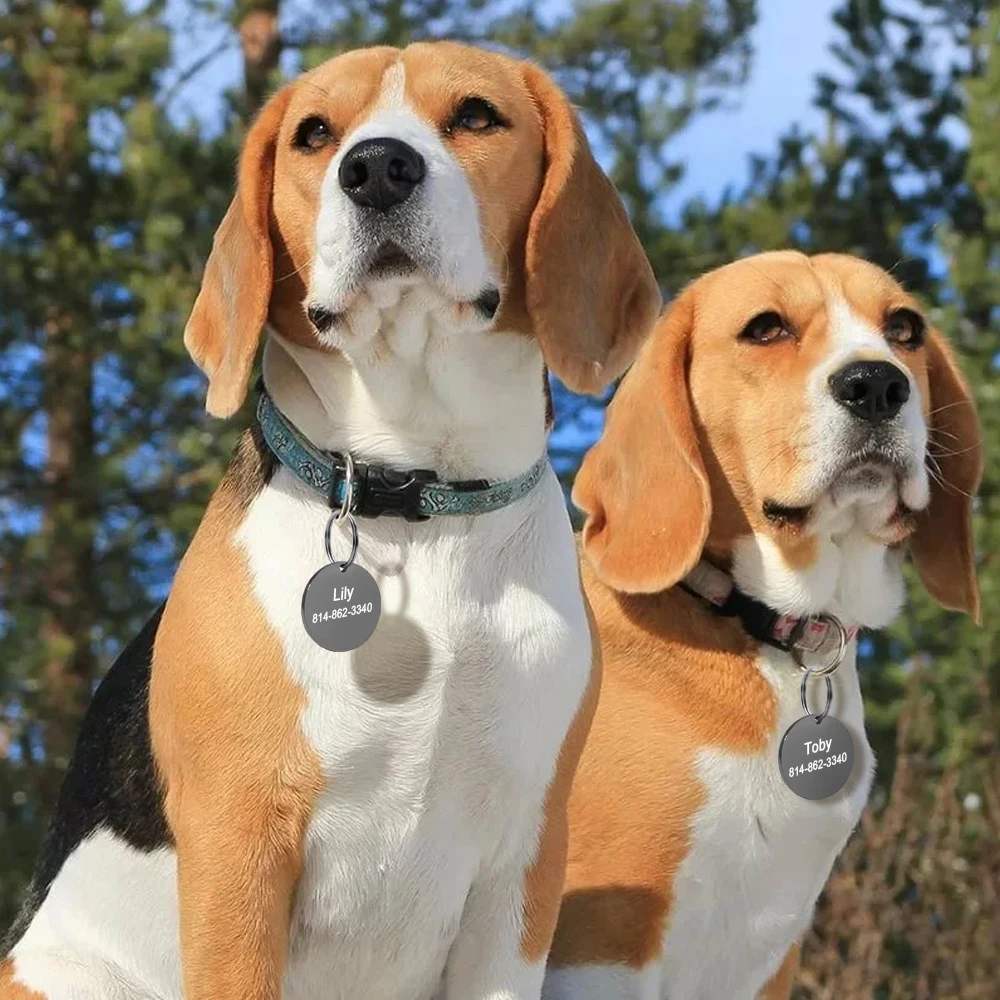 Stainless Steel Dog ID Tag Personalized Dogs Name Tags Custom Engraved Anti-lost Nameplate For Small Dogs Cats Pet Accessories - imagen 5