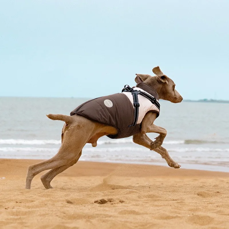 Abrigo para perros al aire libre con anillo, chaleco para perros de otoño e invierno, ropa impermeable con rayas reflectantes para perros, ropa de algodón con forro polar para mascotas - imagen 4