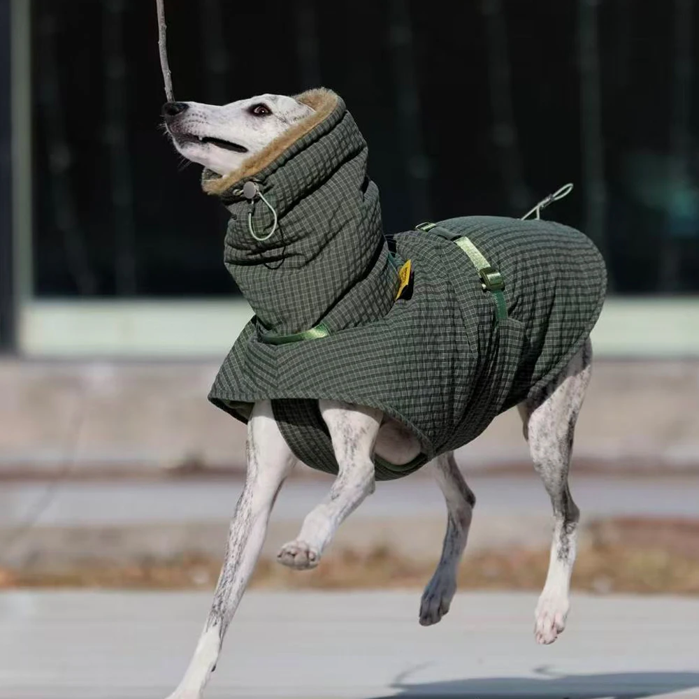 Capa verde de invierno para Whippet y Galgo Italiano – Abrigo cálido - imagen 2
