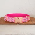 Dog Collar
