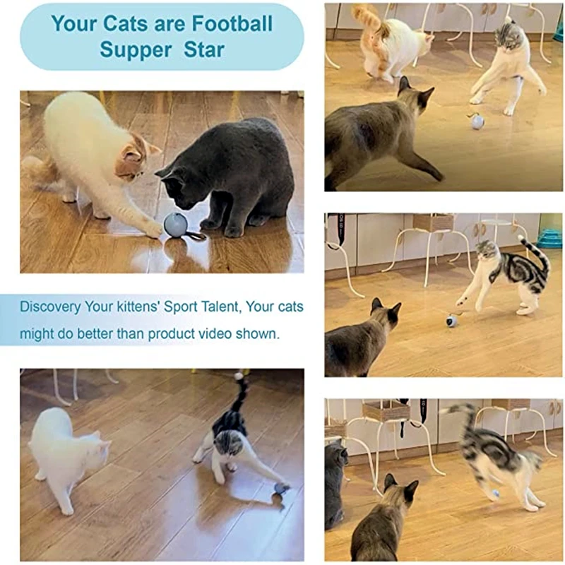 Bola interactiva recargable para gatos – Evita obstáculos automáticamente - imagen 3