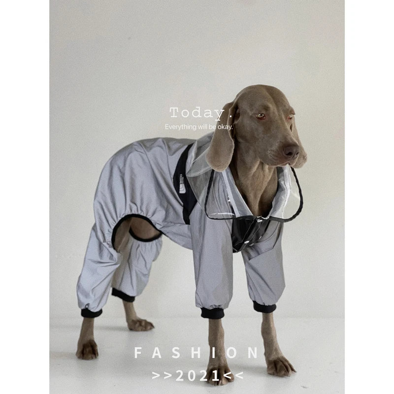 Chubasquero impermeable para perros, chaqueta de lluvia para Golden Retriever, Labrador, Doberman, ropa para mascotas al aire libre para medios, perros grandes