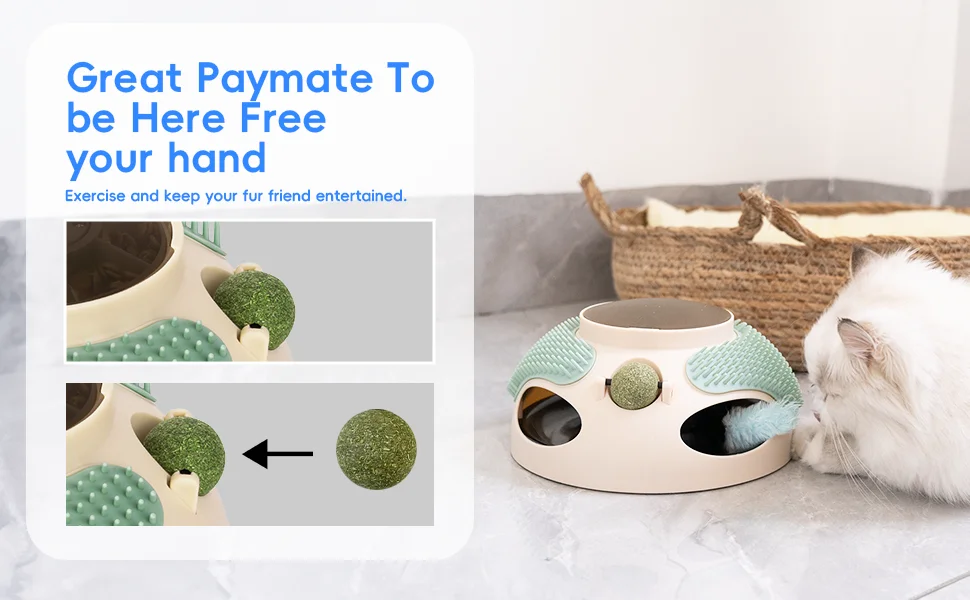 interactive cat toys