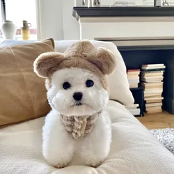 Chaquetón de punto con capucha para perros Teddy a cuadros, cálido invierno