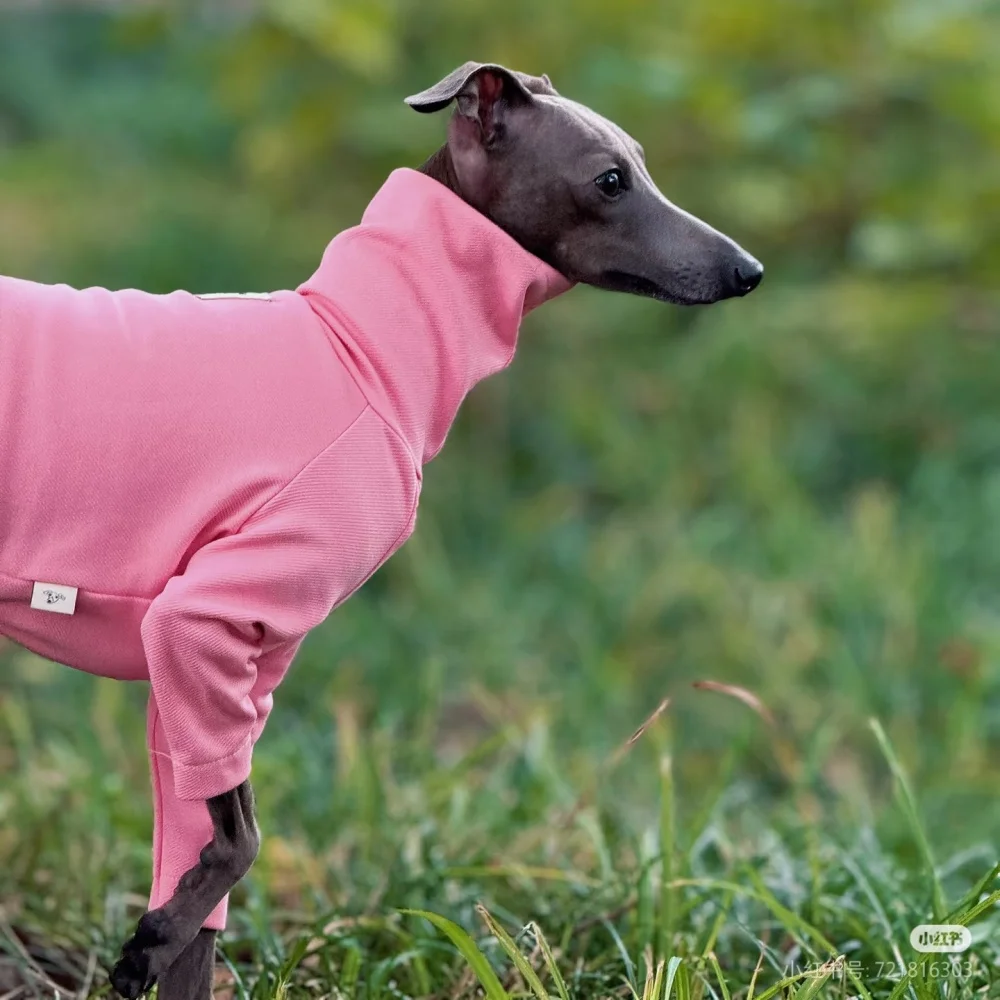 Camiseta de primavera estilo Janpanese para Italia Greyhound Soft Long Sleeves Spring Coat para ropa de whippet Verano Sweet Loungewear - imagen 2