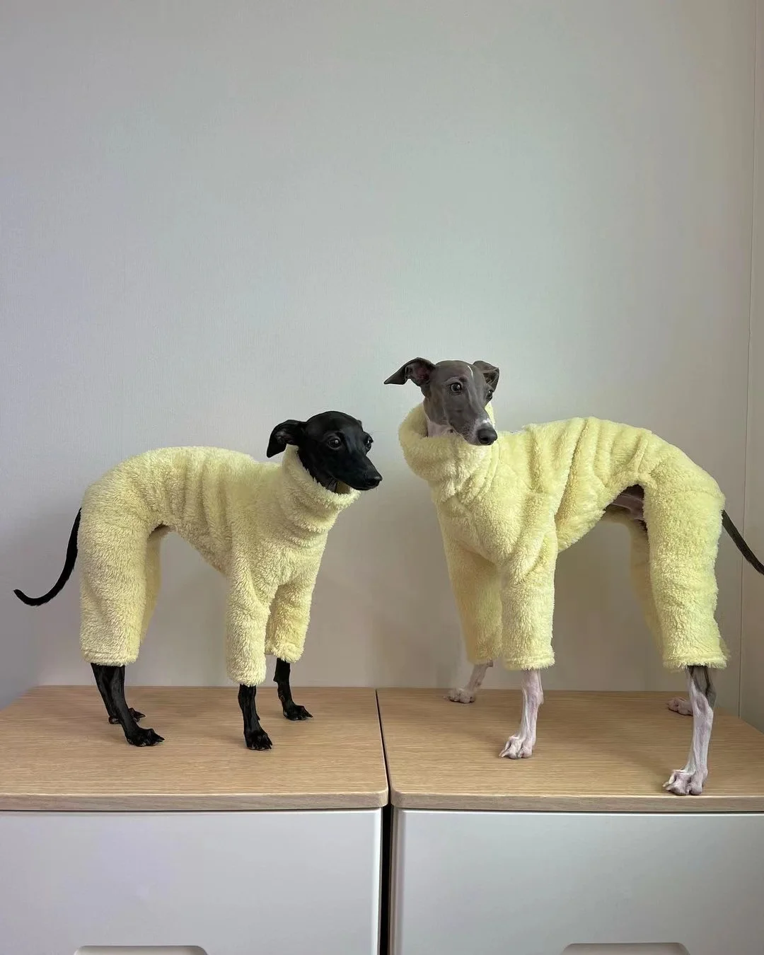 Monos de invierno para perros, ropa suave para cachorros, cuello alto, ropa cálida para galgo italiano, Whippet/mexicano sin pelo/Maltese - imagen 2