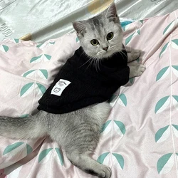 Suéter tejido Sphynx para gatos – Abrigo cálido primavera/invierno