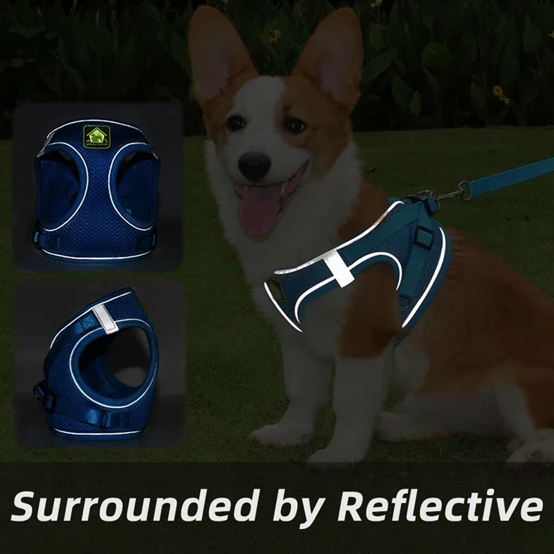 Arnés de malla para perros, chaleco y correa para perros pequeños, arnés ajustable para cachorros y gatos, correa para el pecho para caminar al aire libre, suministros para mascotas - imagen 4