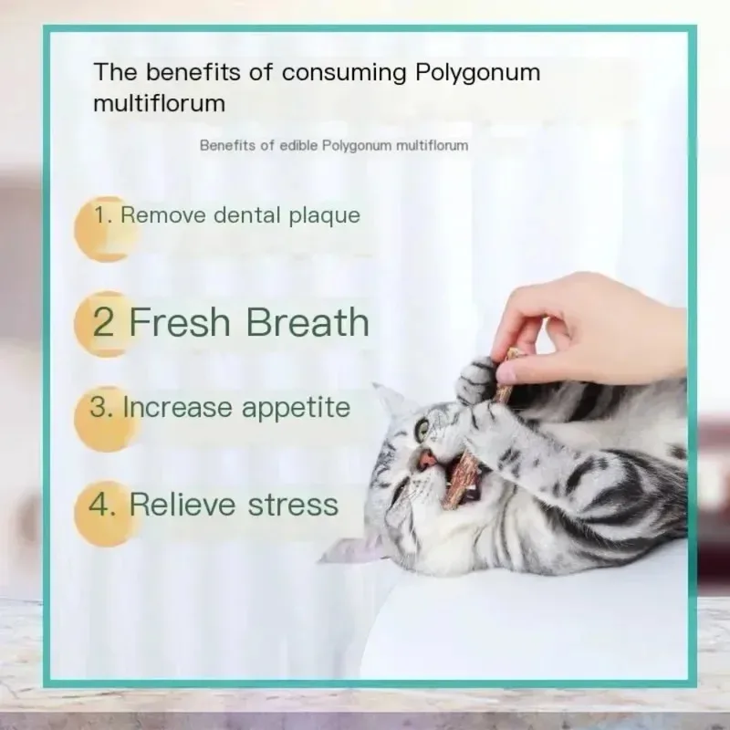 6PCs Natural Cat Sticks Mint Scratching Biting Excitement Sticks Silver Vine Cat Teeth Cleaning and Treatment Cat Toys - imagen 5