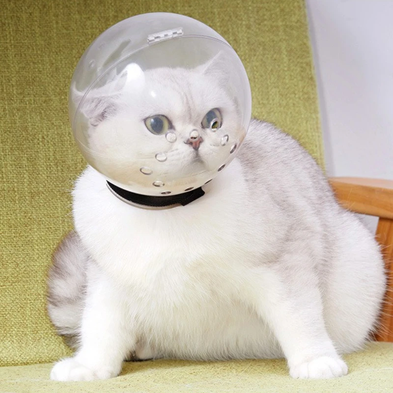 Mascarilla transparente con forma de bozal de burbujas para el cuidado de gatos, casco de bola espacial transpirable para recortar uñas, baño, sombrero antimordida para gatos - imagen 5