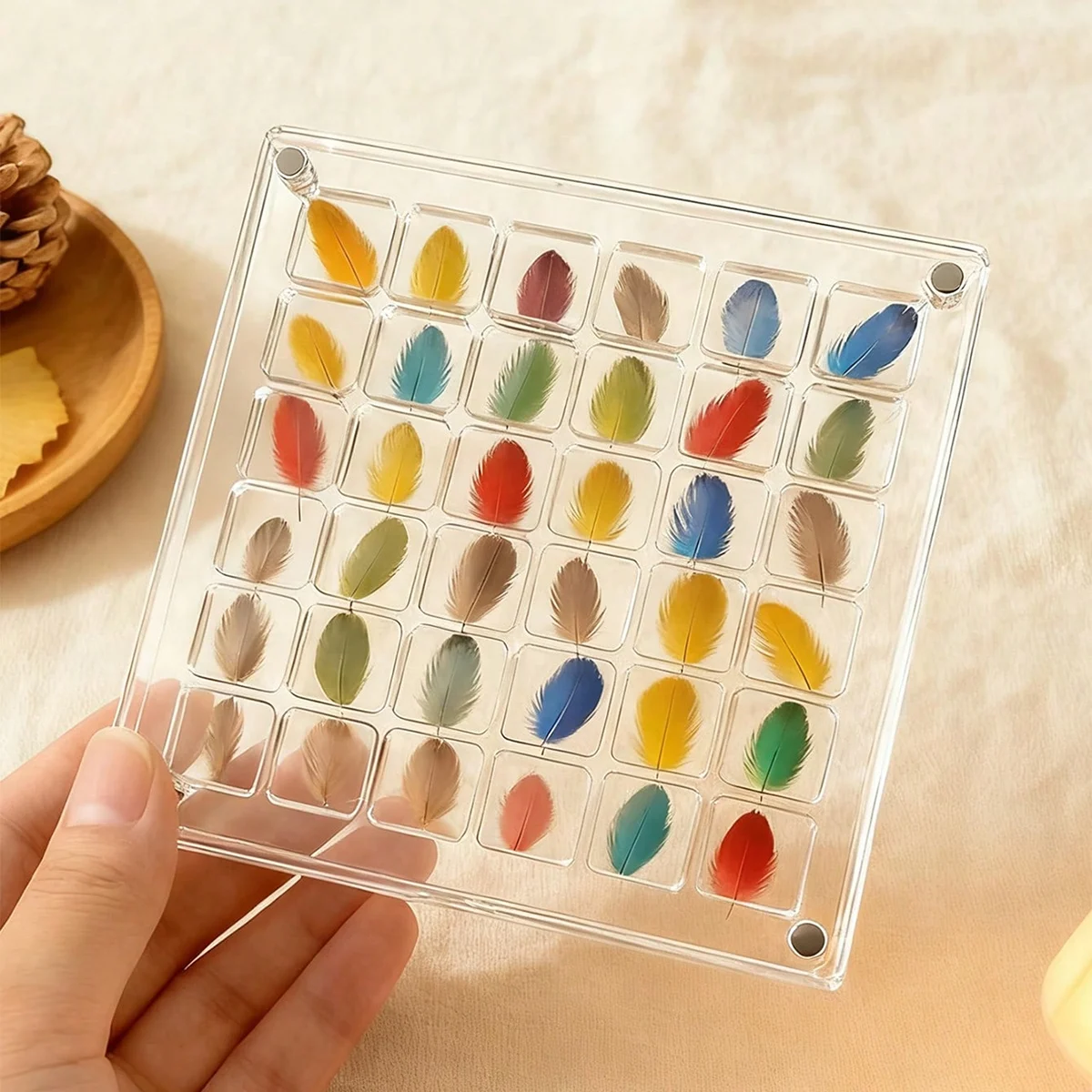 Colector de plumas de loro de 36 rejillas, marco magnético similar al acrílico, almacenamiento de pelo de pájaro mascota, estuche de exposición conmemorativo, adorno decorativo - imagen 2