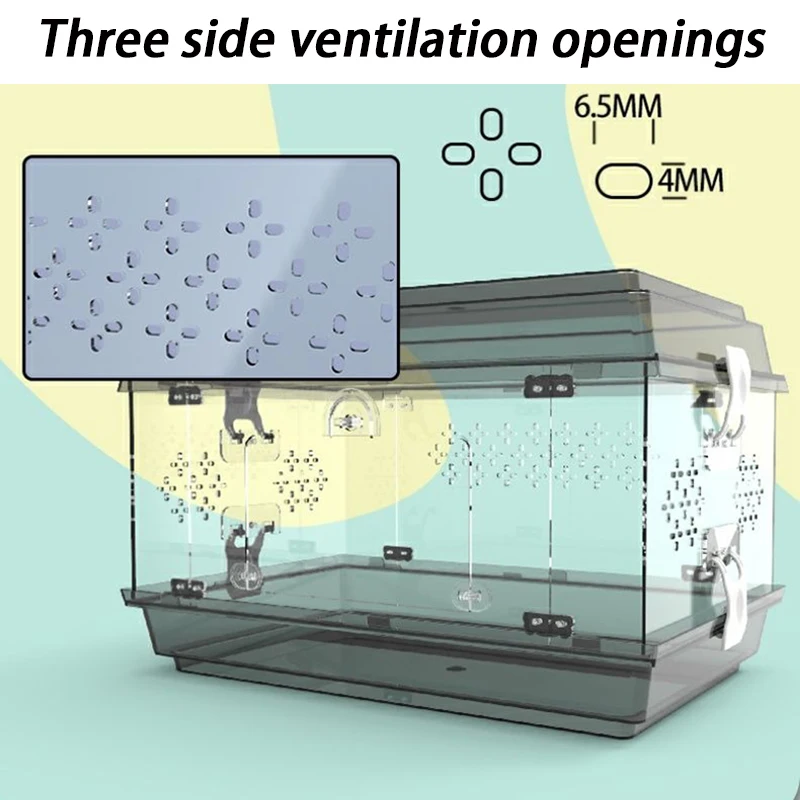Perrera de lagarto acrílica, tanque de tortuga de araña transparente, jaula de cría de reptiles, terrario de serpientes, jaulas de cultivo de lagarto, productos para mascotas - imagen 5