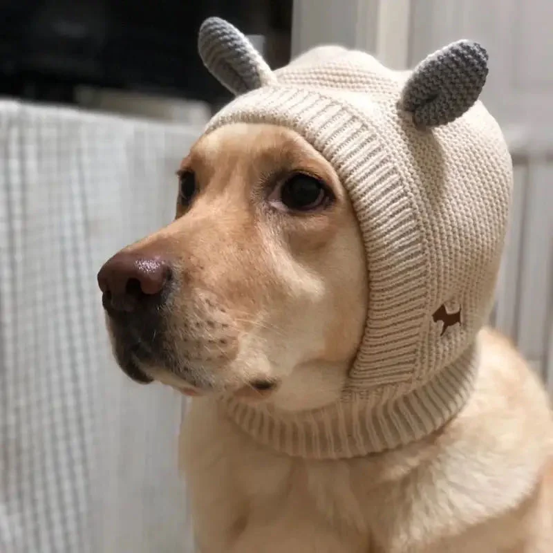 Gorro de punto Kawaii para perros medianos y grandes, accesorios para perros, suministros para mascotas al aire libre, Labrador, Bulldog Francés, sombreros para Otoño e Invierno - imagen 4