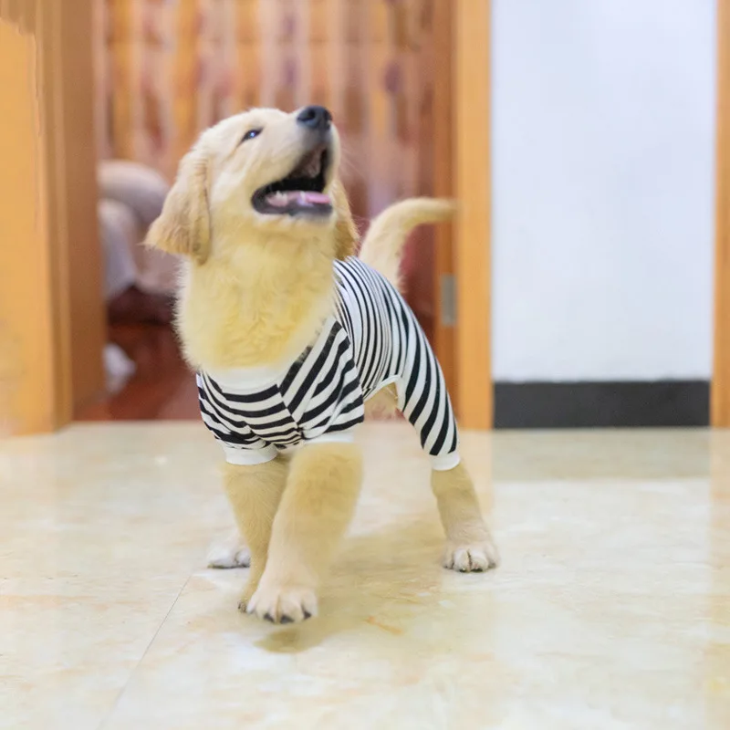 Pijama transpirable para perro mediano y grande – Algodón elástico - imagen 5