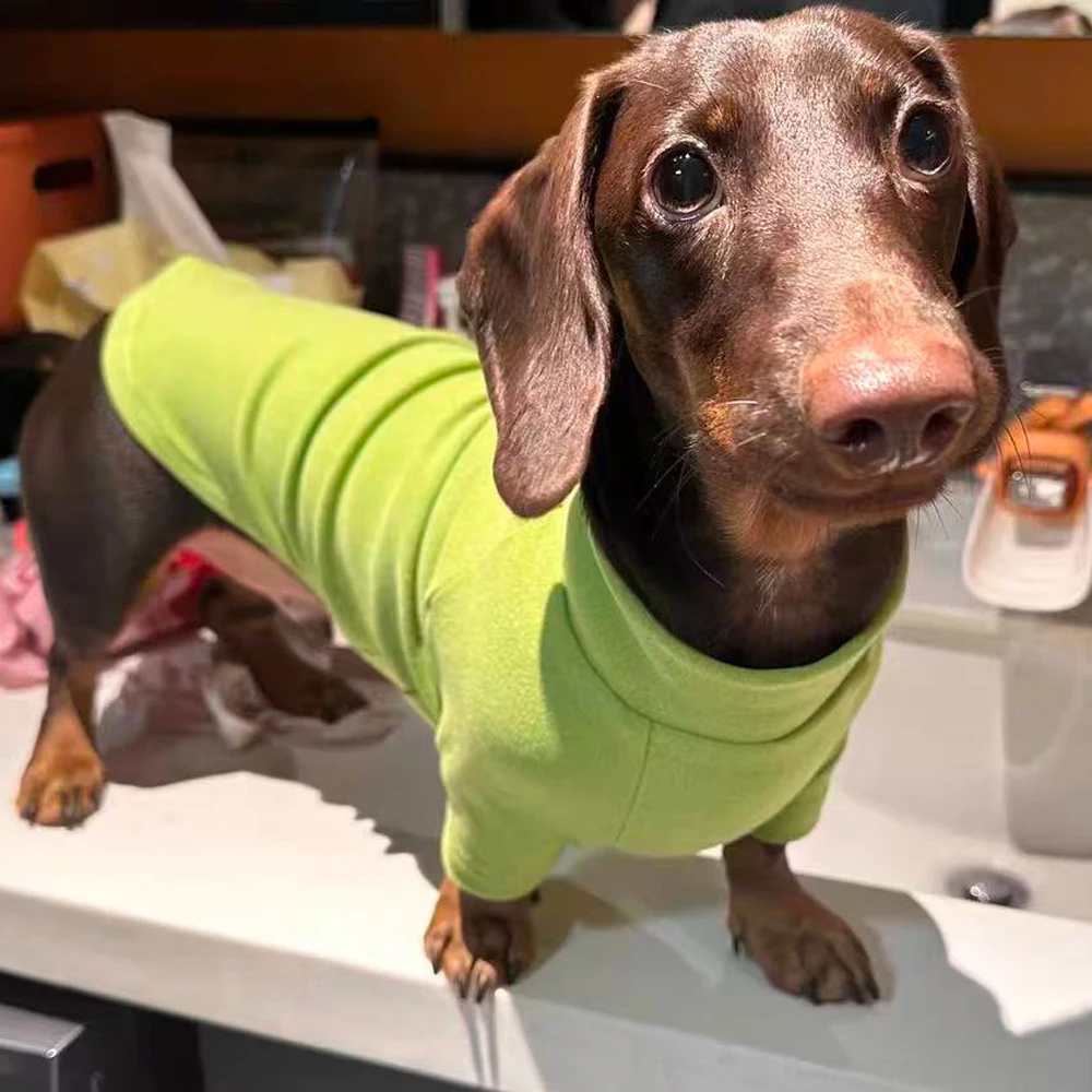 Mono polar cálido para perros pequeños dachshund – abrigo invierno