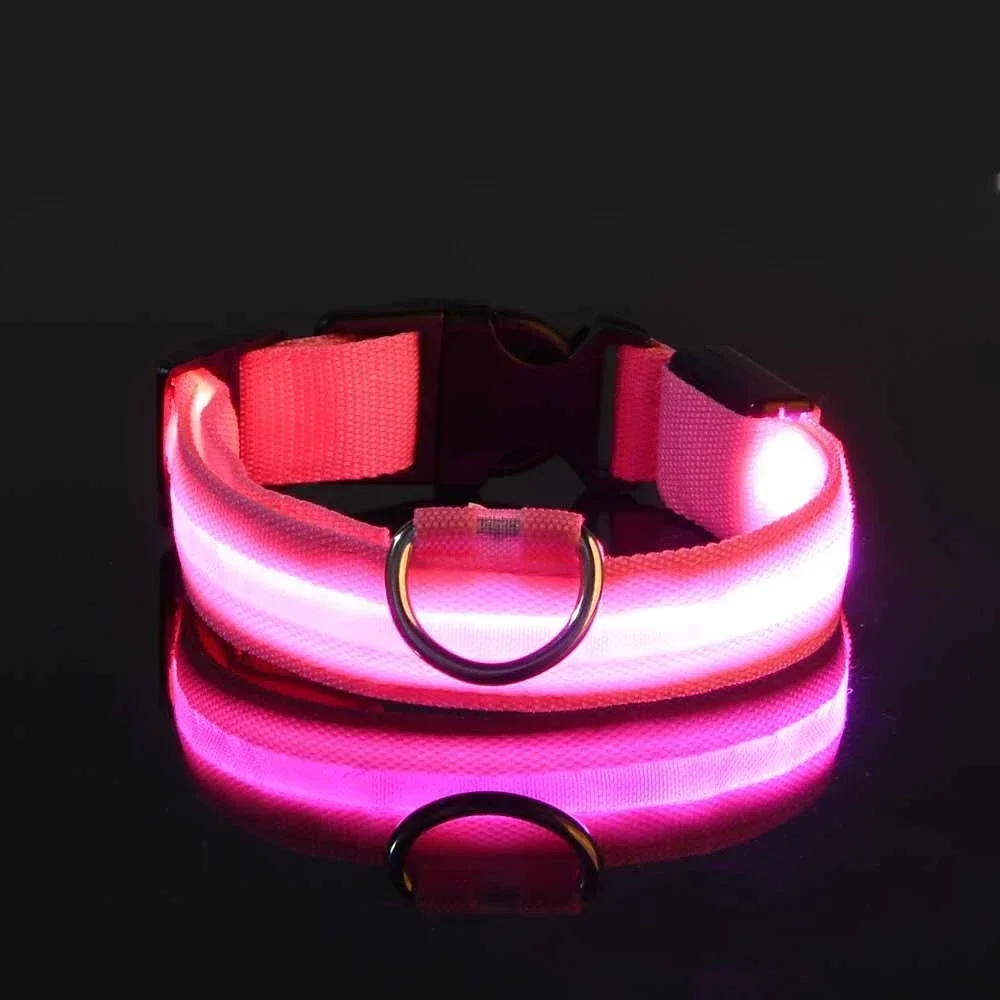 Collar para perro de nailon LED de seguridad nocturna intermitente que brilla en la oscuridad correa para perro mascota accesorios fluorescentes luminosos para perros - imagen 5