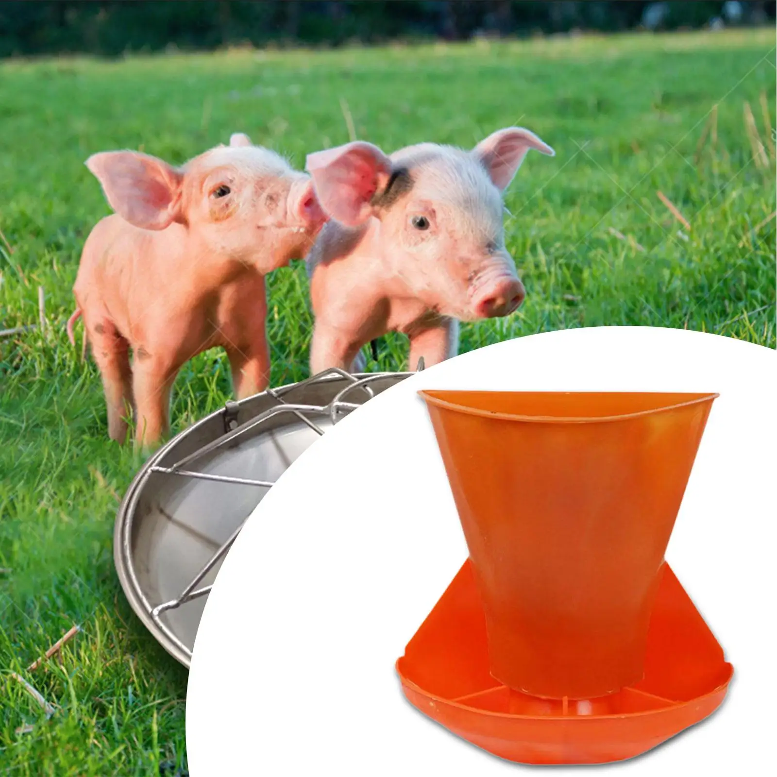 Livestock Feeder,Piglet Feeding Trough Easy to Clean Animal Husbandry Equipment Wall Mounted Farm Pig Manger feed Dispenser