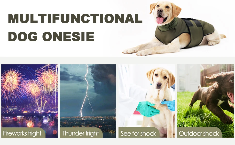 Why your pet dog need this vest?